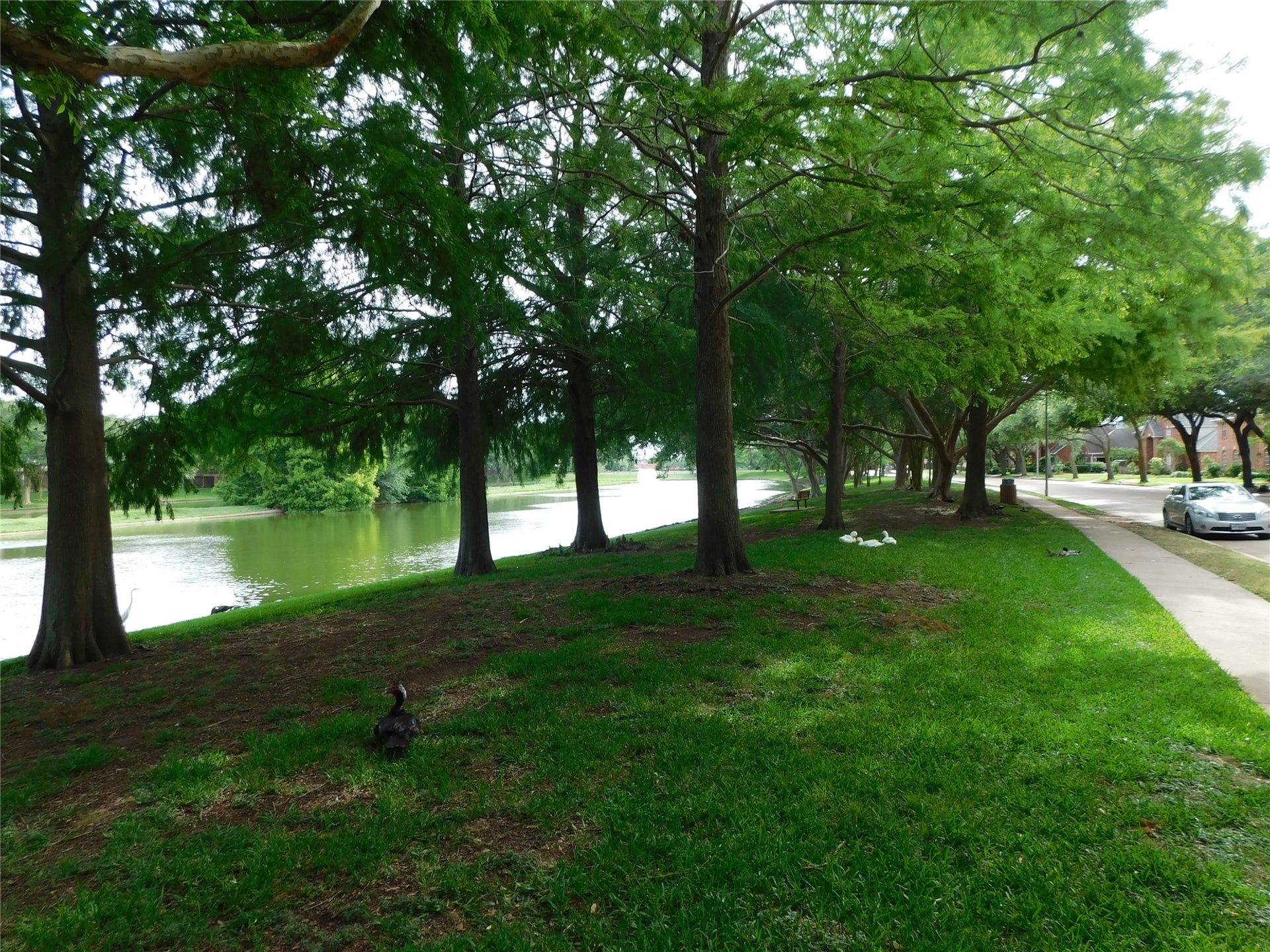 3311 Waters Way Drive, Sugar Land, TX 77478 3311 Waters Way Drive, Sugar Land, TX 77478