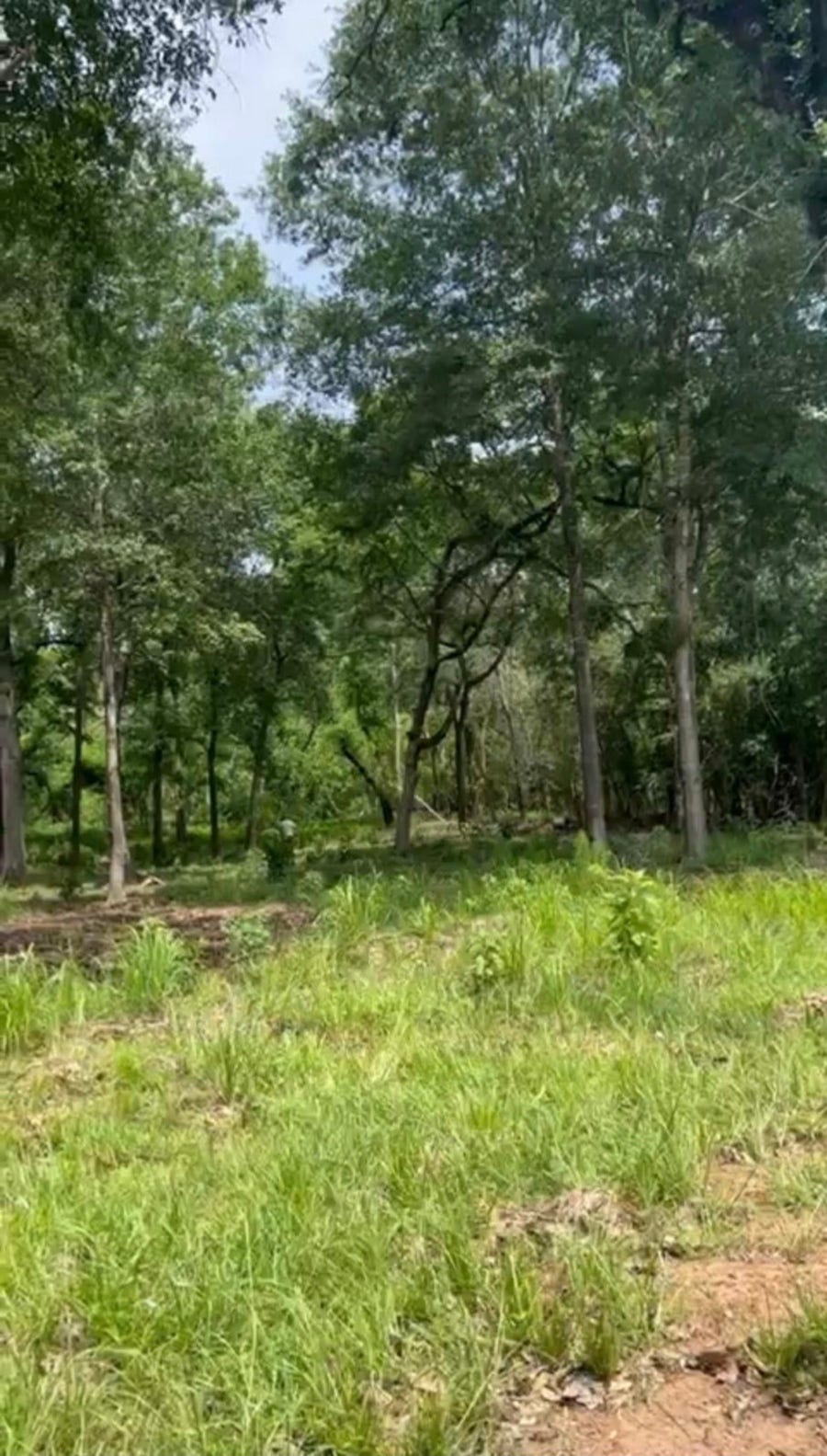 Property photo for 16414 Old Coach Road Drive, Stagecoach, TX