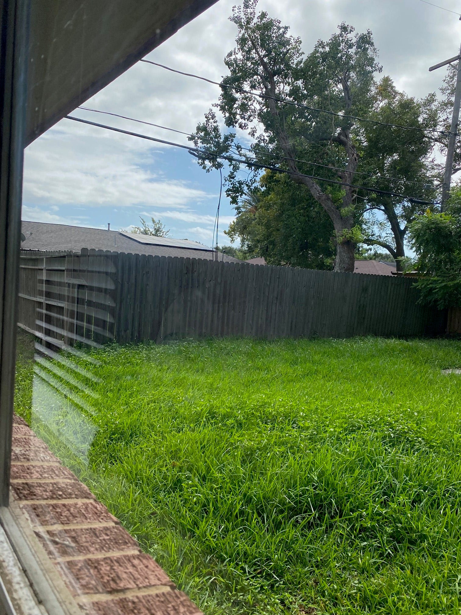 1809 W 8th Street, Freeport, TX 77541 Partial Fence in Backyard