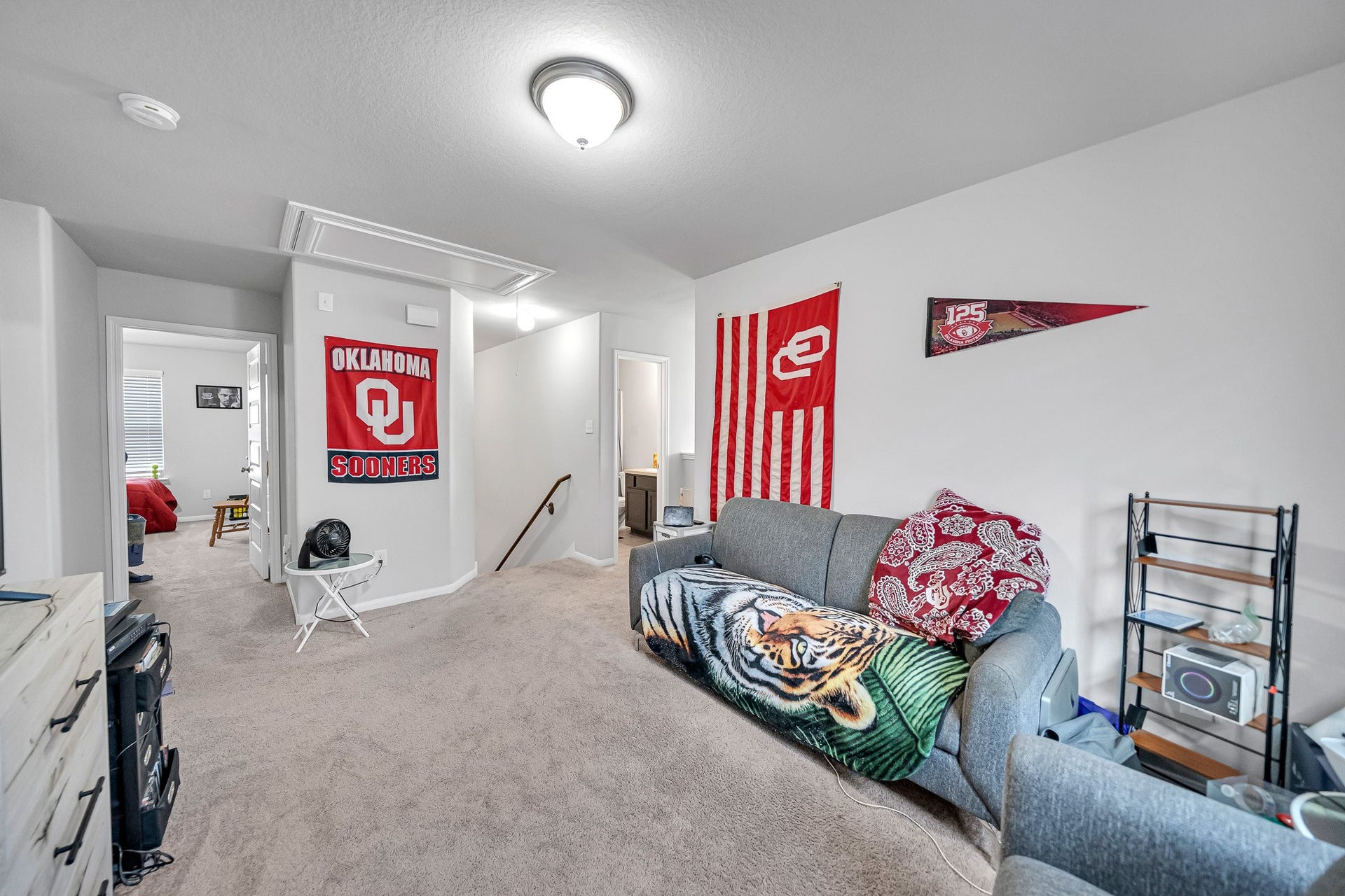 10703 Nyla Spring Street, Houston, TX 77016