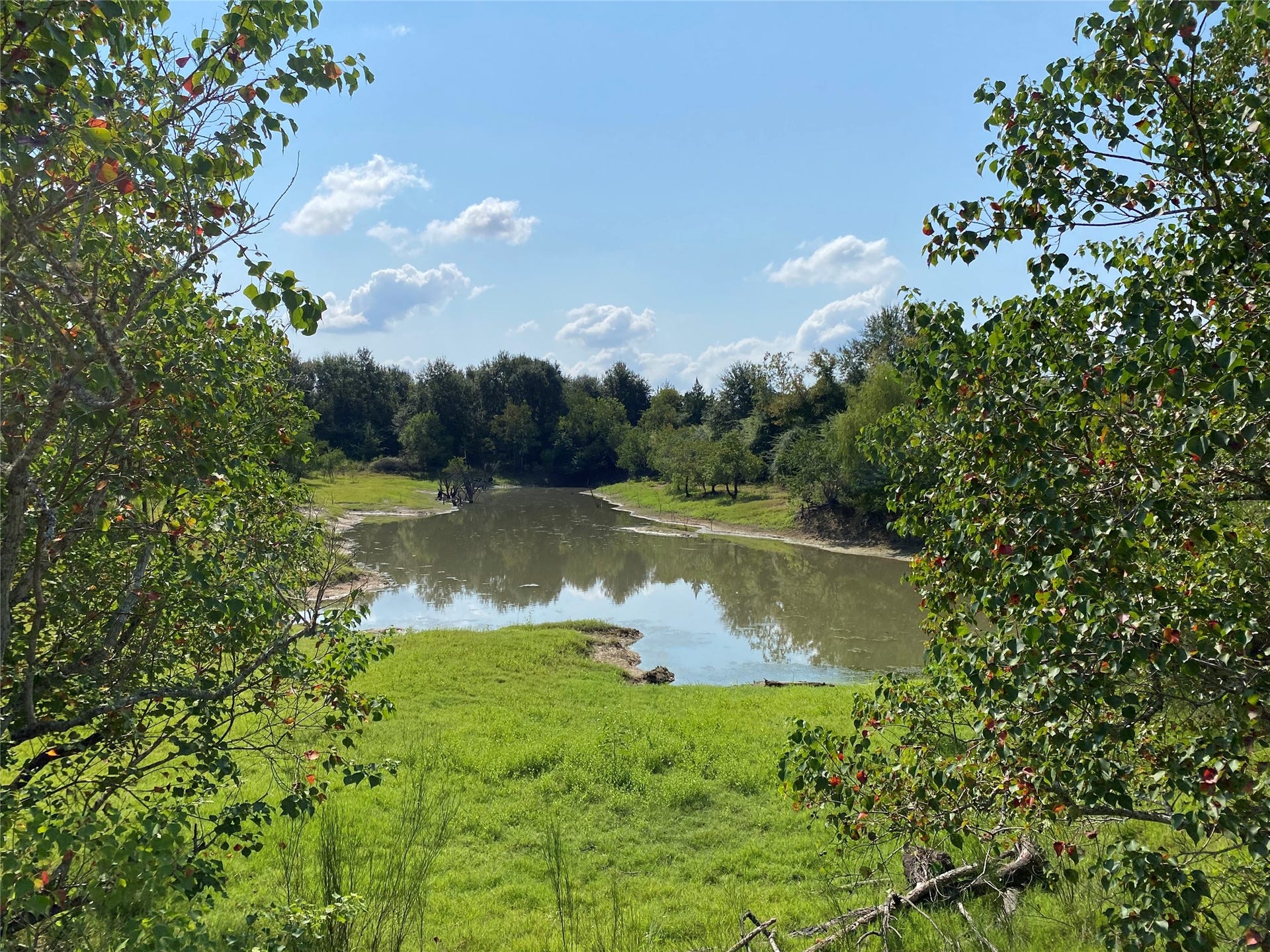 6115 S Highway 35, Alvin, TX 77511 pood