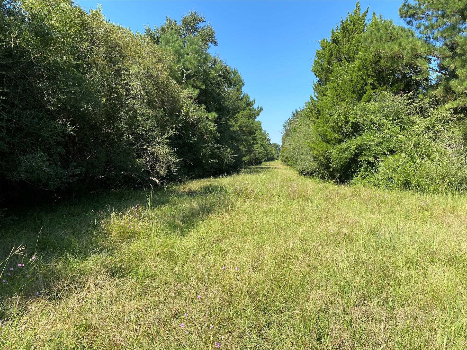 6115 S Highway 35, Alvin, TX 77511 fence line