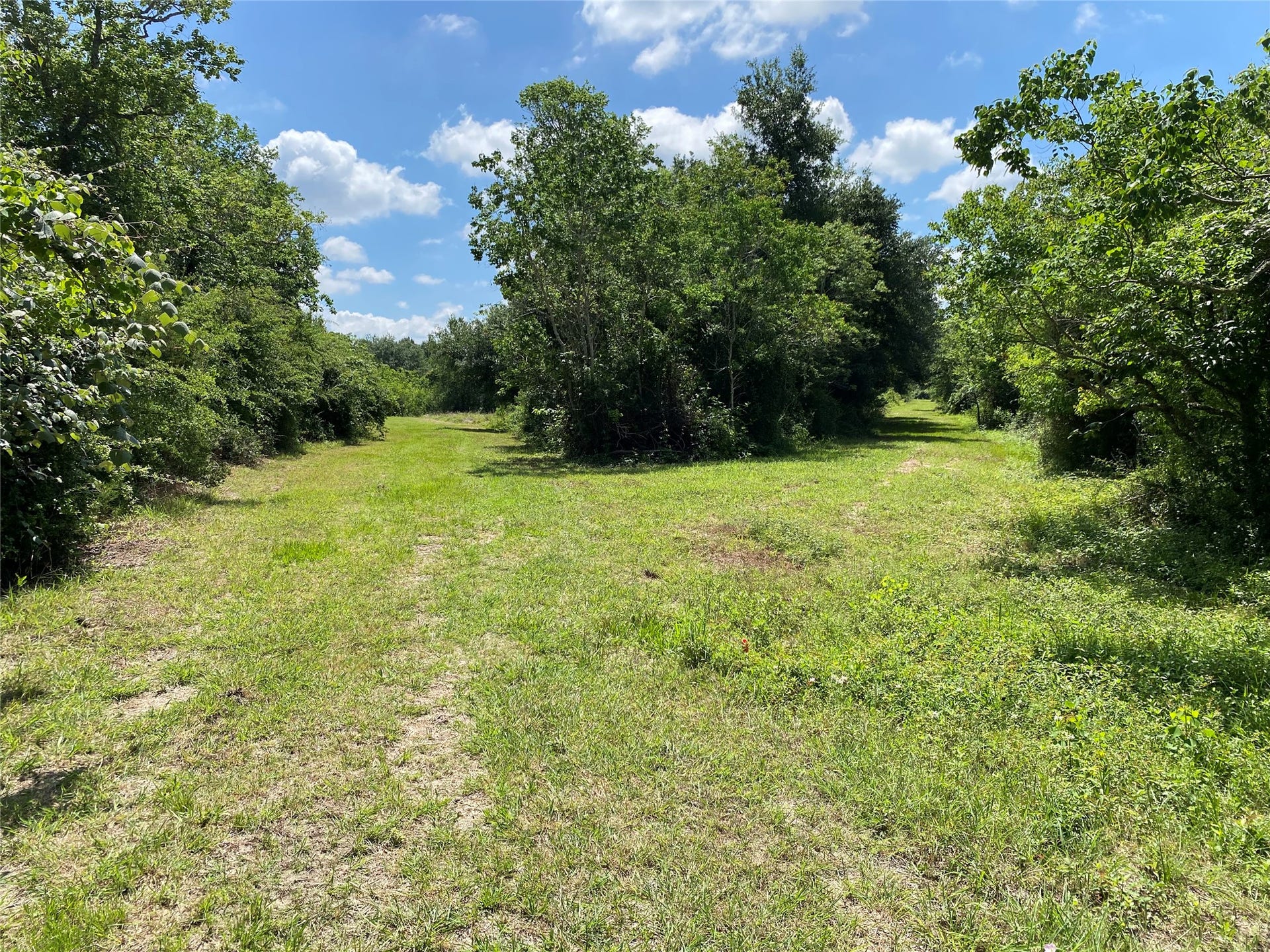 6115 S Highway 35, Alvin, TX 77511 Cleared fence line