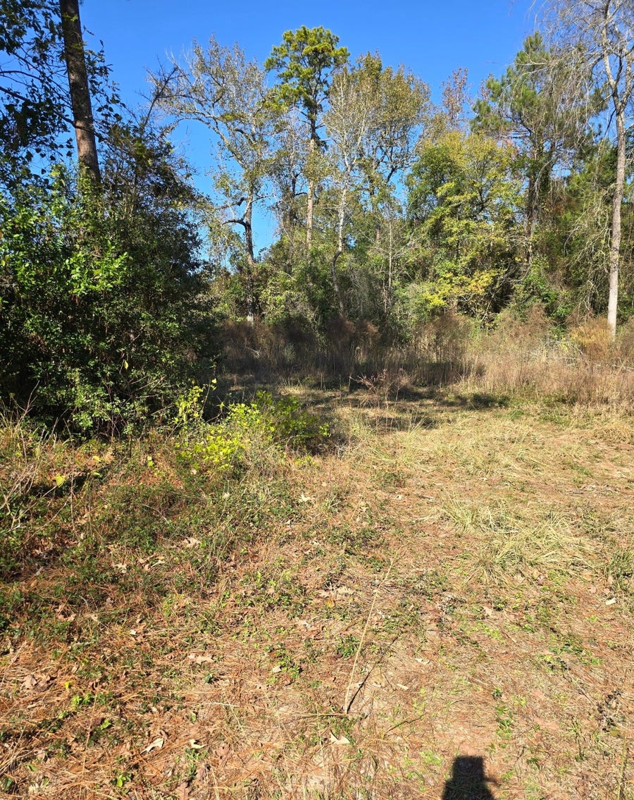 Property photo for 10287 Wanda Lane, Montgomery, TX