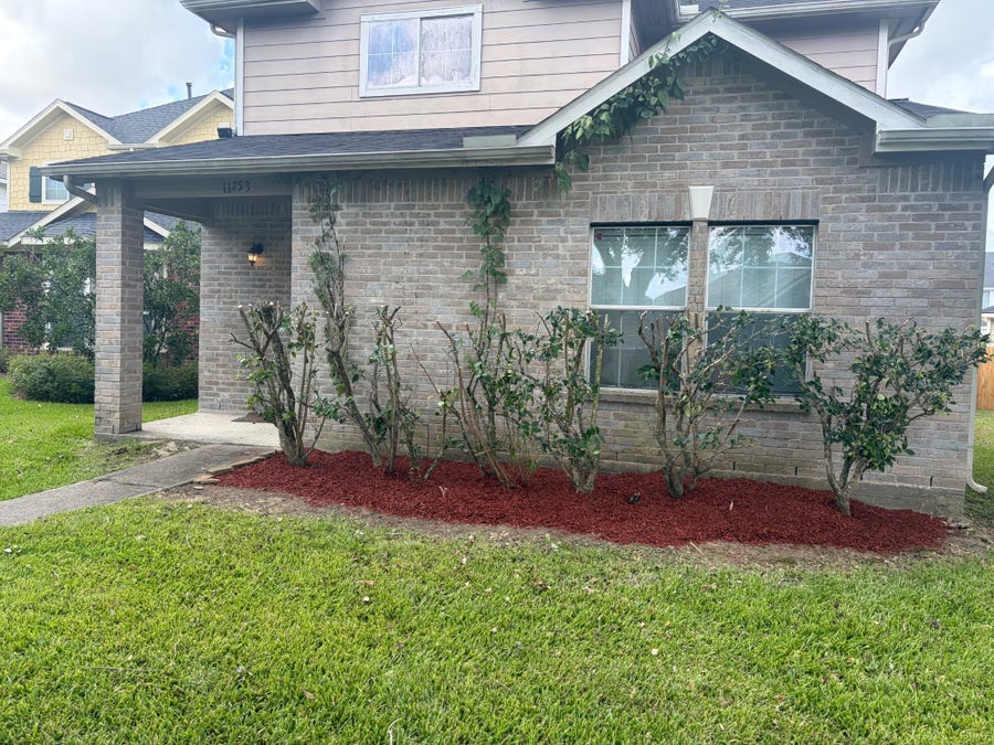 Property photo for 11753 Jelicoe Drive, Houston, TX