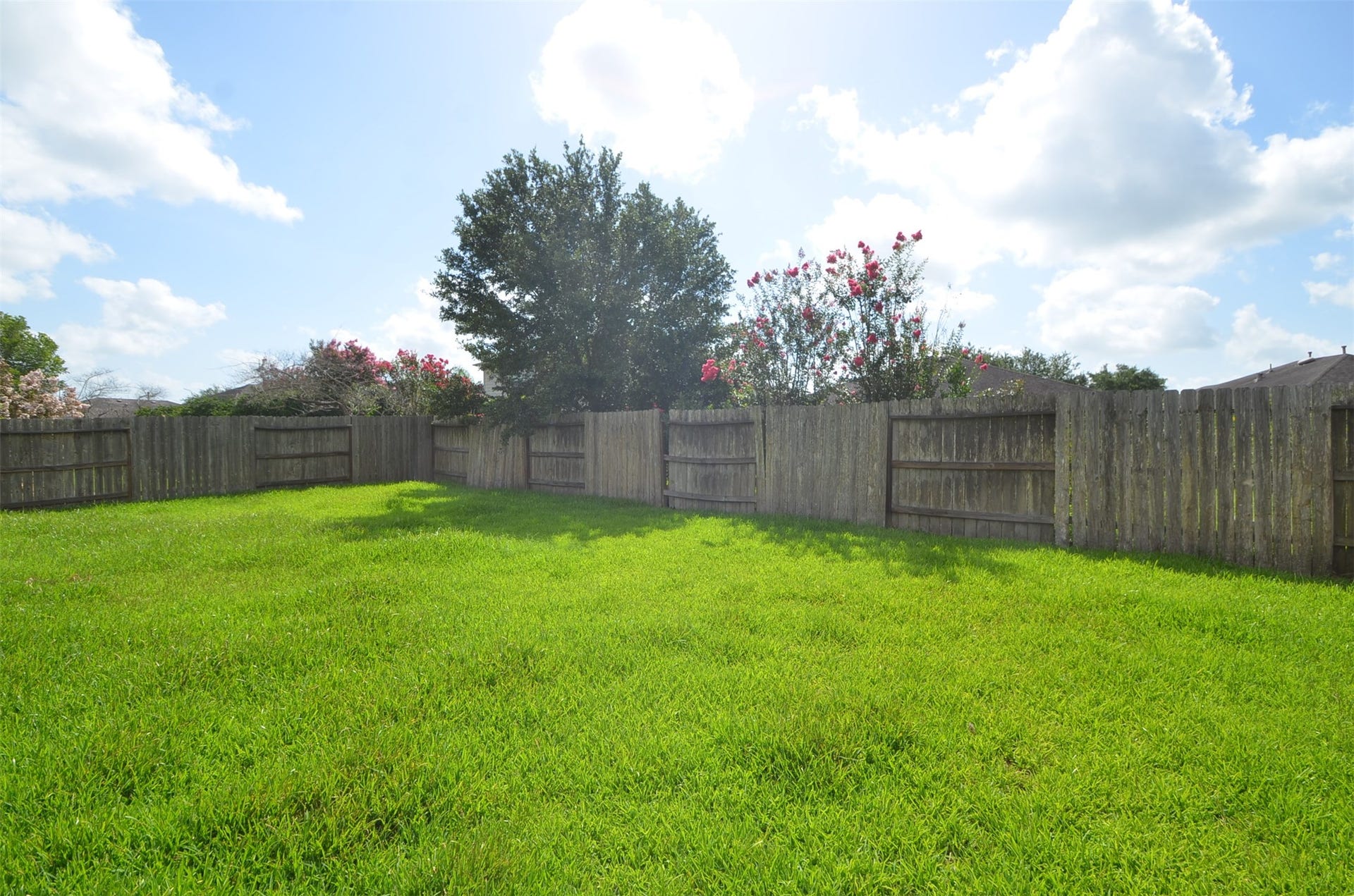 915 Butterfly Lane, Rosenberg, TX 77469 915 Butterfly Lane, Rosenberg, TX 77469