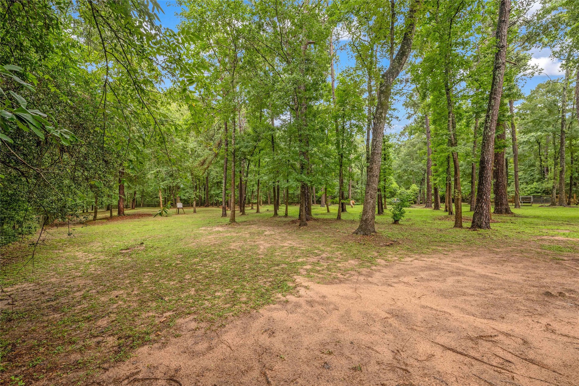 17203 Gold Panning Court, Magnolia, TX 77355 17203 Gold Panning Court, Magnolia, TX 77355