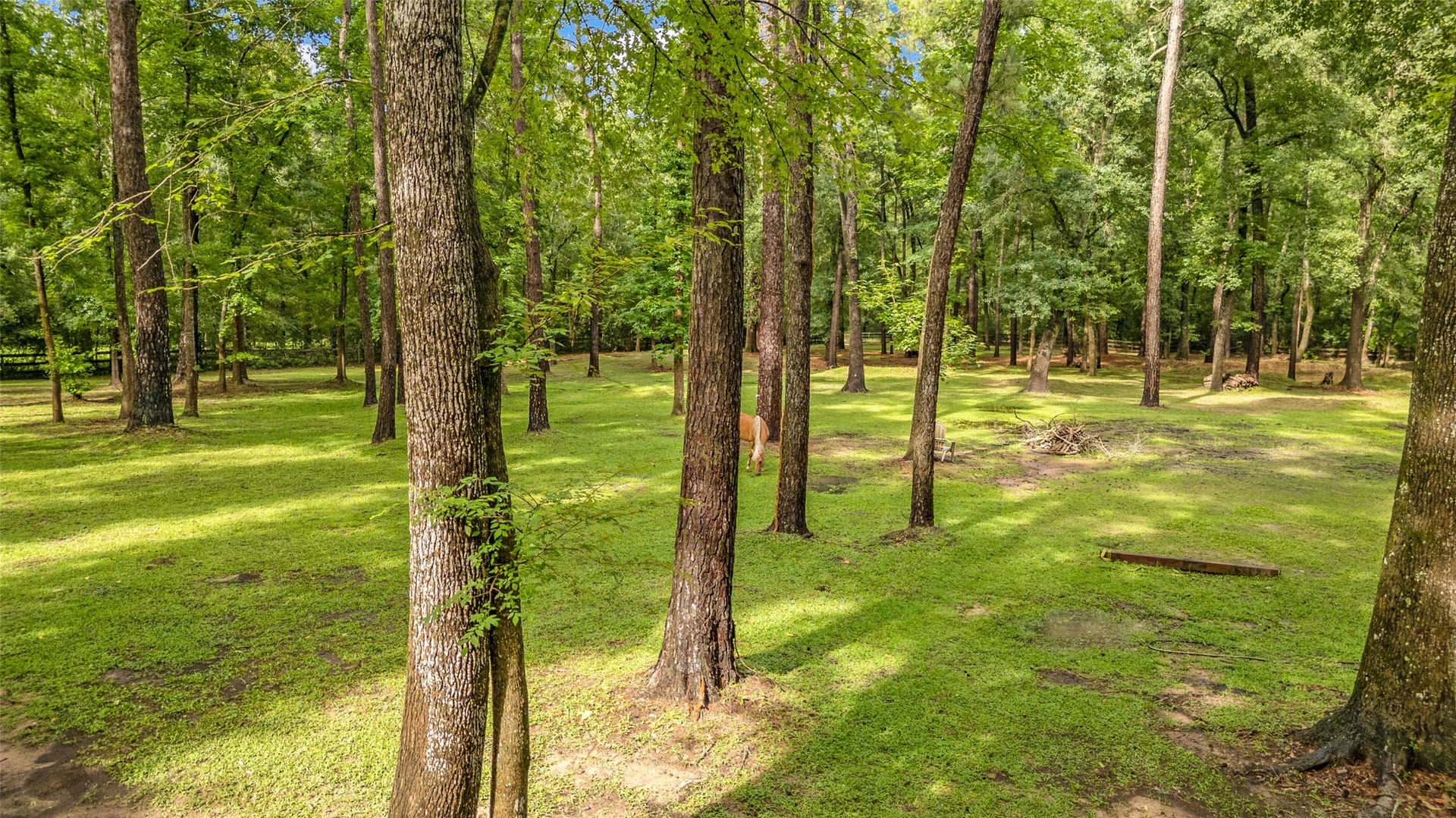 17203 Gold Panning Court, Magnolia, TX 77355 17203 Gold Panning Court, Magnolia, TX 77355