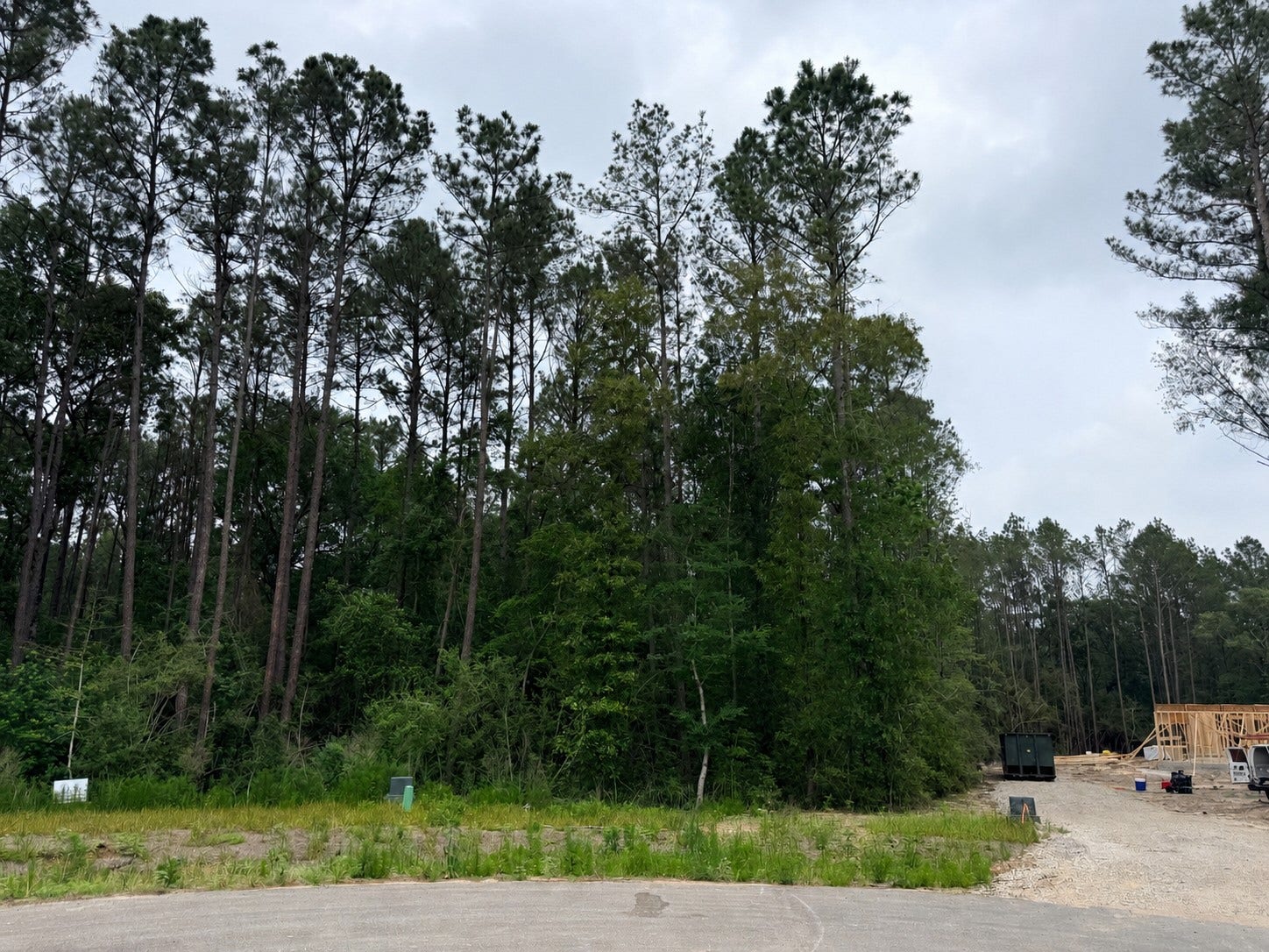 Front of Lot
