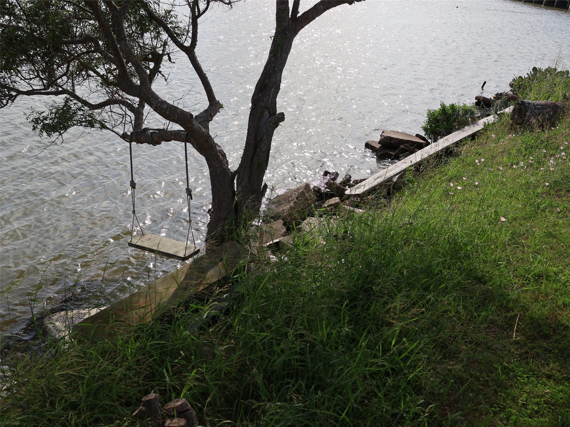 3401 Highway 6, Hitchcock, TX 77563 This serene waterfront spot features a rustic swing hanging from a tree, overlooking a calm body of water, perfect for relaxation. Lush green grass surrounds the area, creating a peaceful natural setting.