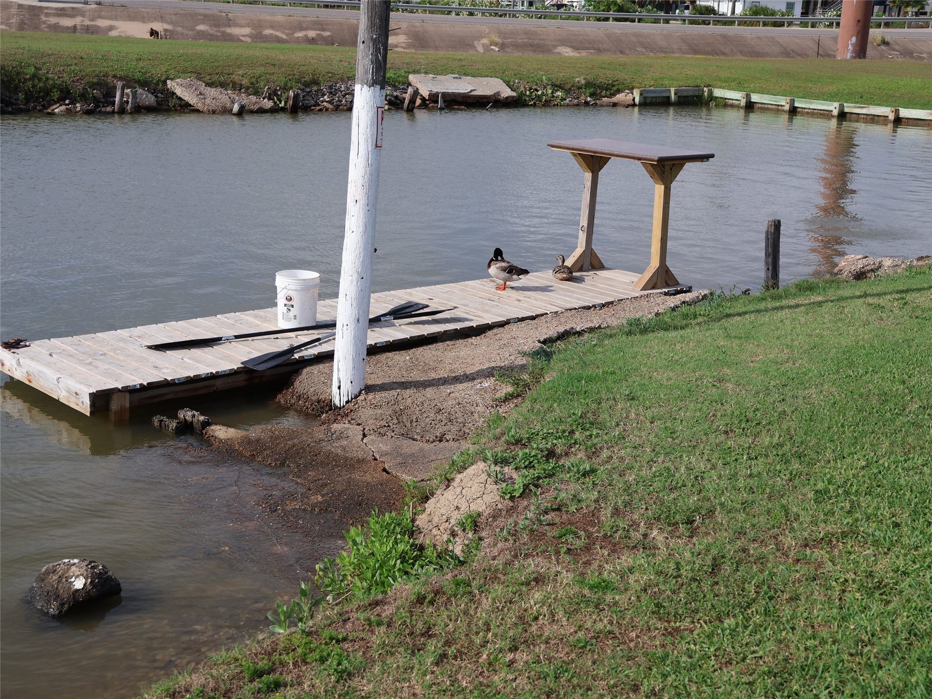 3401 Highway 6, Hitchcock, TX 77563 Small dock with the local ducks.