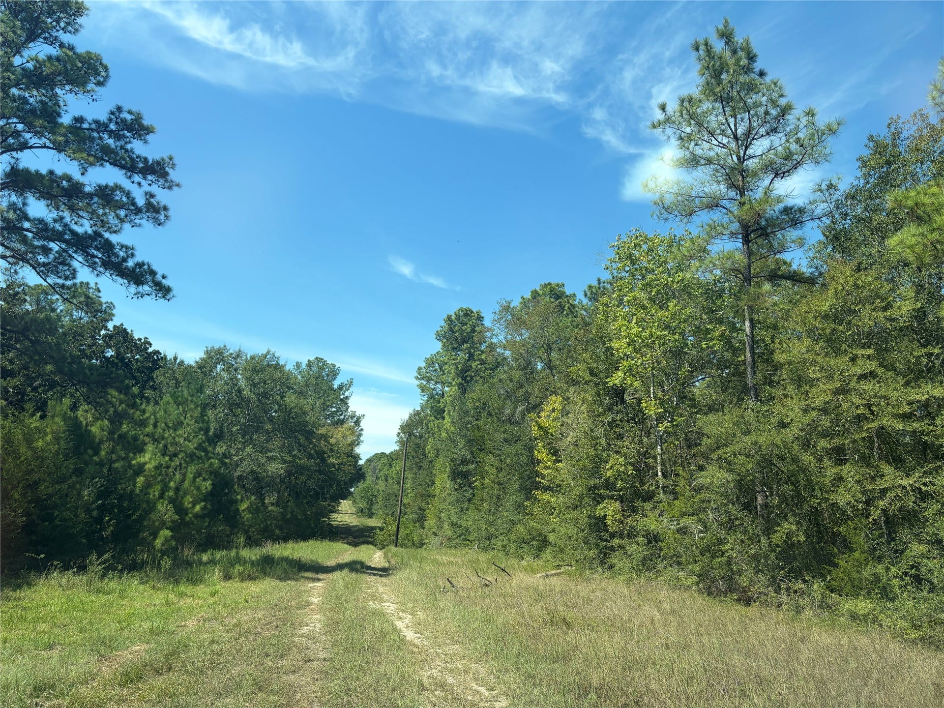 24683 CAVAN, Hempstead, TX 77445