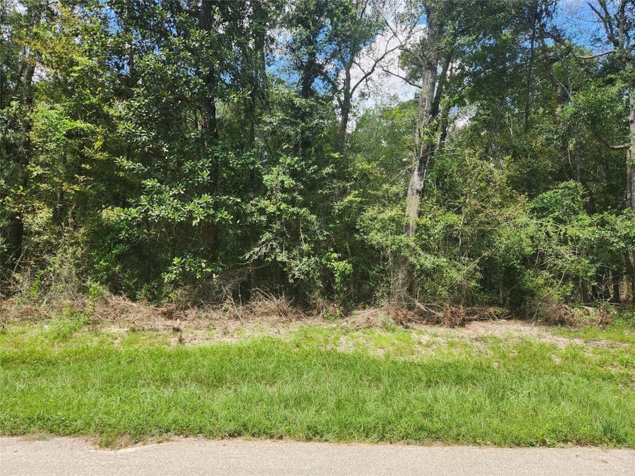 Property photo for 00 Idlewood Rdwy, New Caney, TX