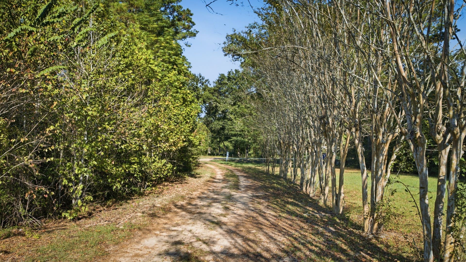 7497 Hidden Acres Drive, Cleveland, TX 77328