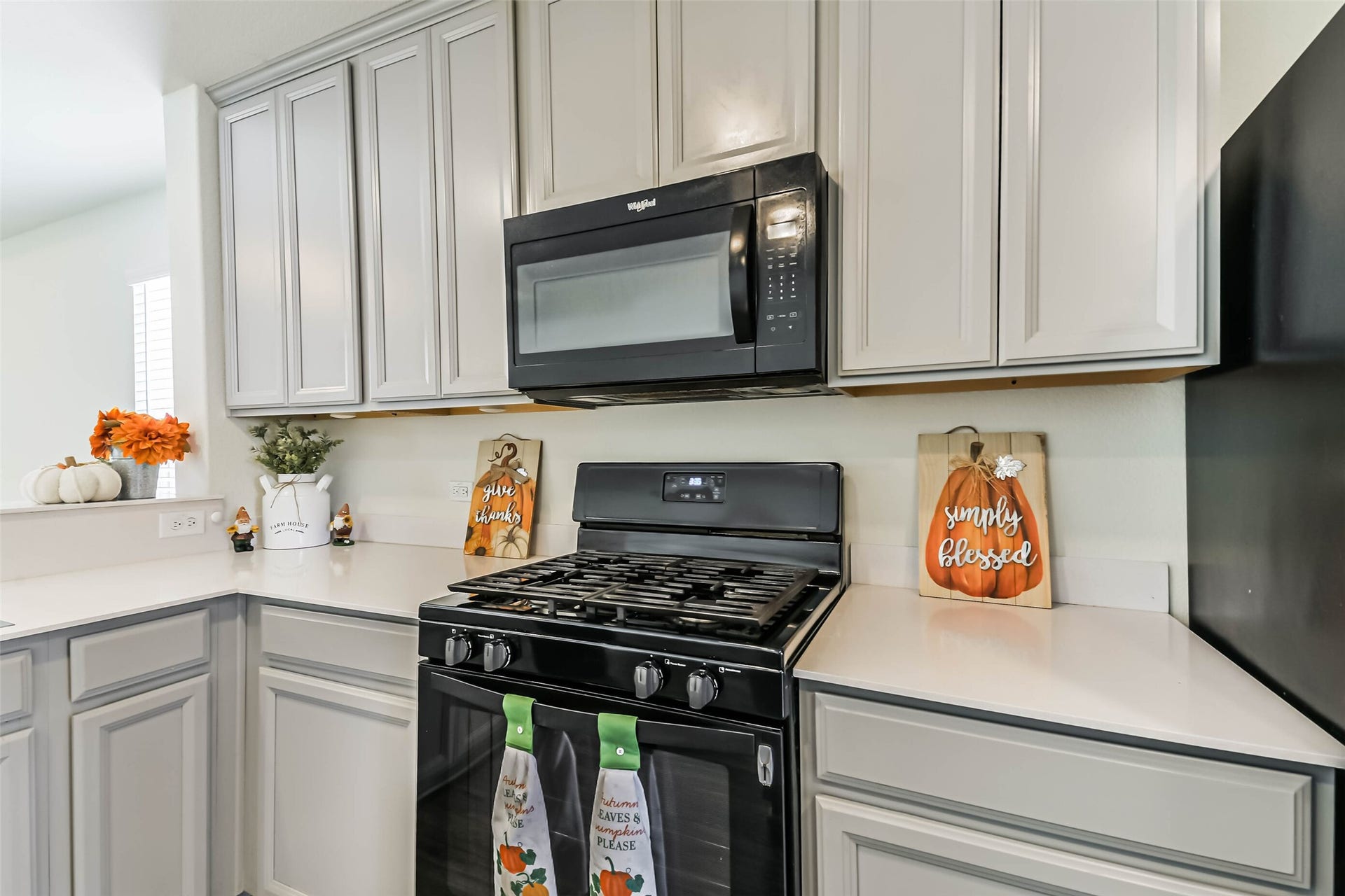 24011 Swather Way, Hockley, TX 77447 Gas Stove