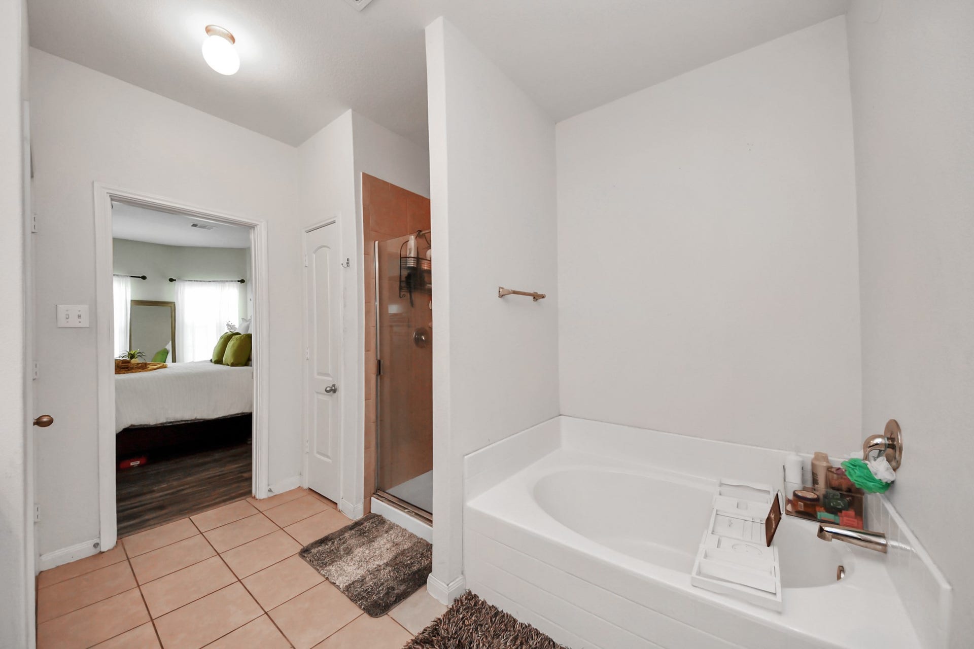 415 Hawks View Drive, La Marque, TX 77568 Walk in shower & tub!