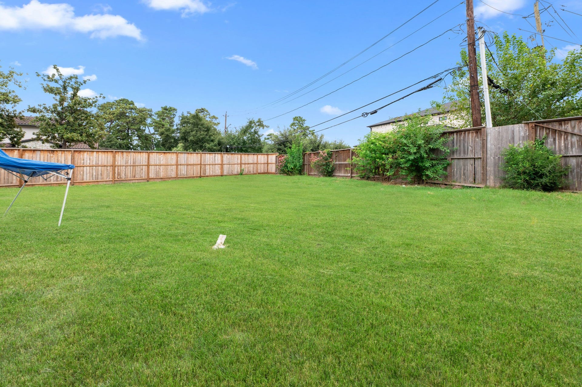 752 W 43rd Street, Houston, TX 77018 Back Yard is massive and has potential for an outdoor oasis.