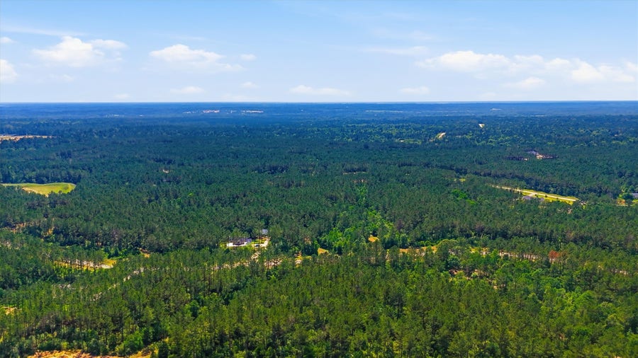 Property photo for 15388 Forest Grove Drive, Willis, TX