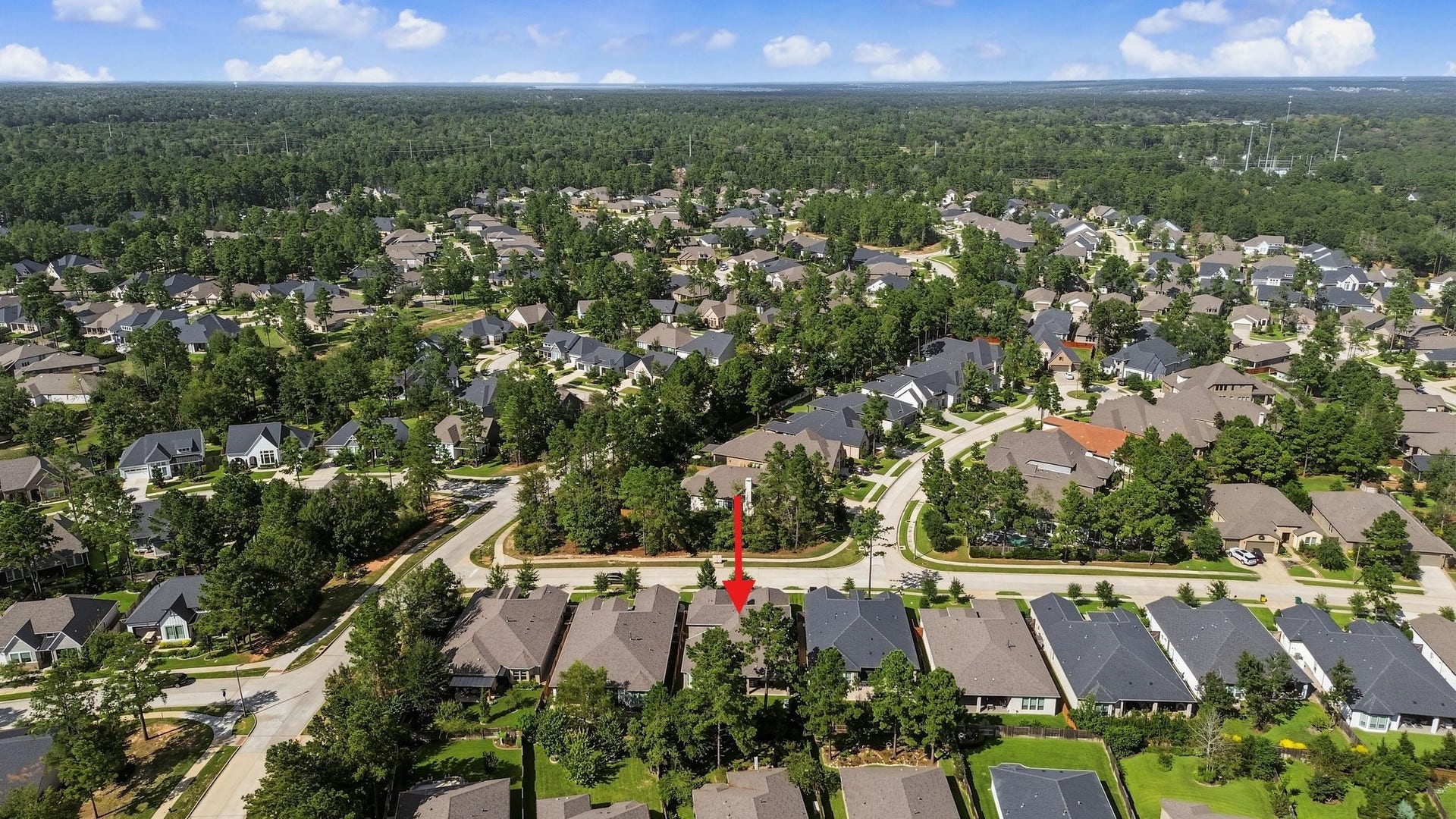 114 S Wild Petunia Trail, Montgomery, TX 77316 114 S Wild Petunia Trail, Montgomery, TX 77316