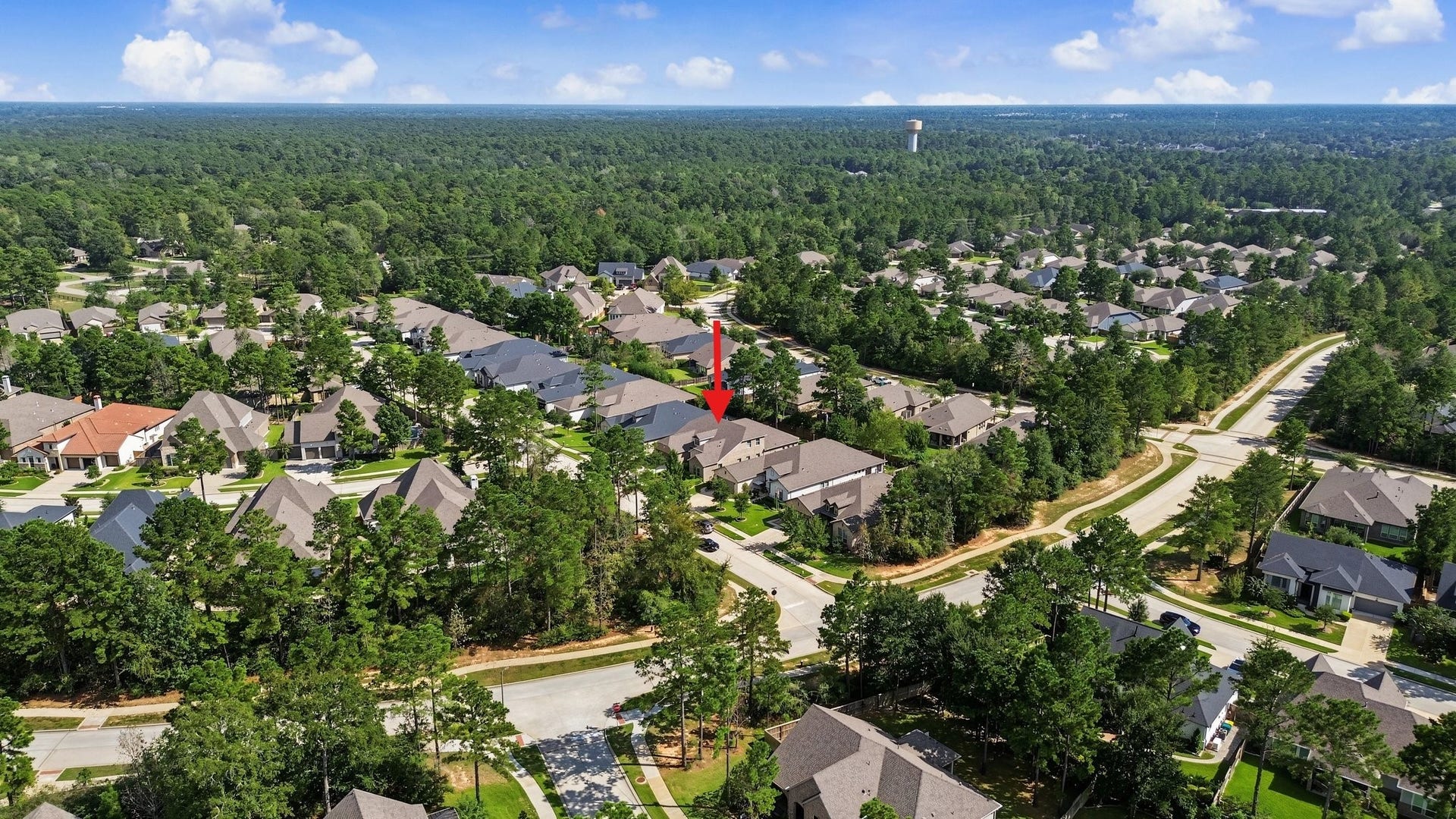114 S Wild Petunia Trail, Montgomery, TX 77316 114 S Wild Petunia Trail, Montgomery, TX 77316