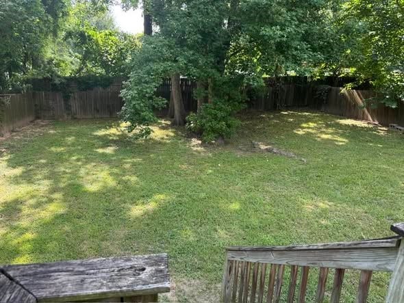 15203 Paradise Cove Drive, Willis, TX 77318