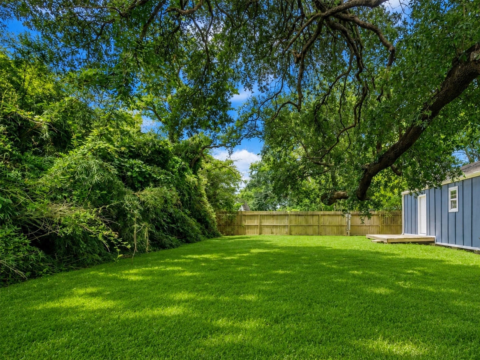 12313 23rd Street, Santa Fe, TX 77510 Fenced backyard.