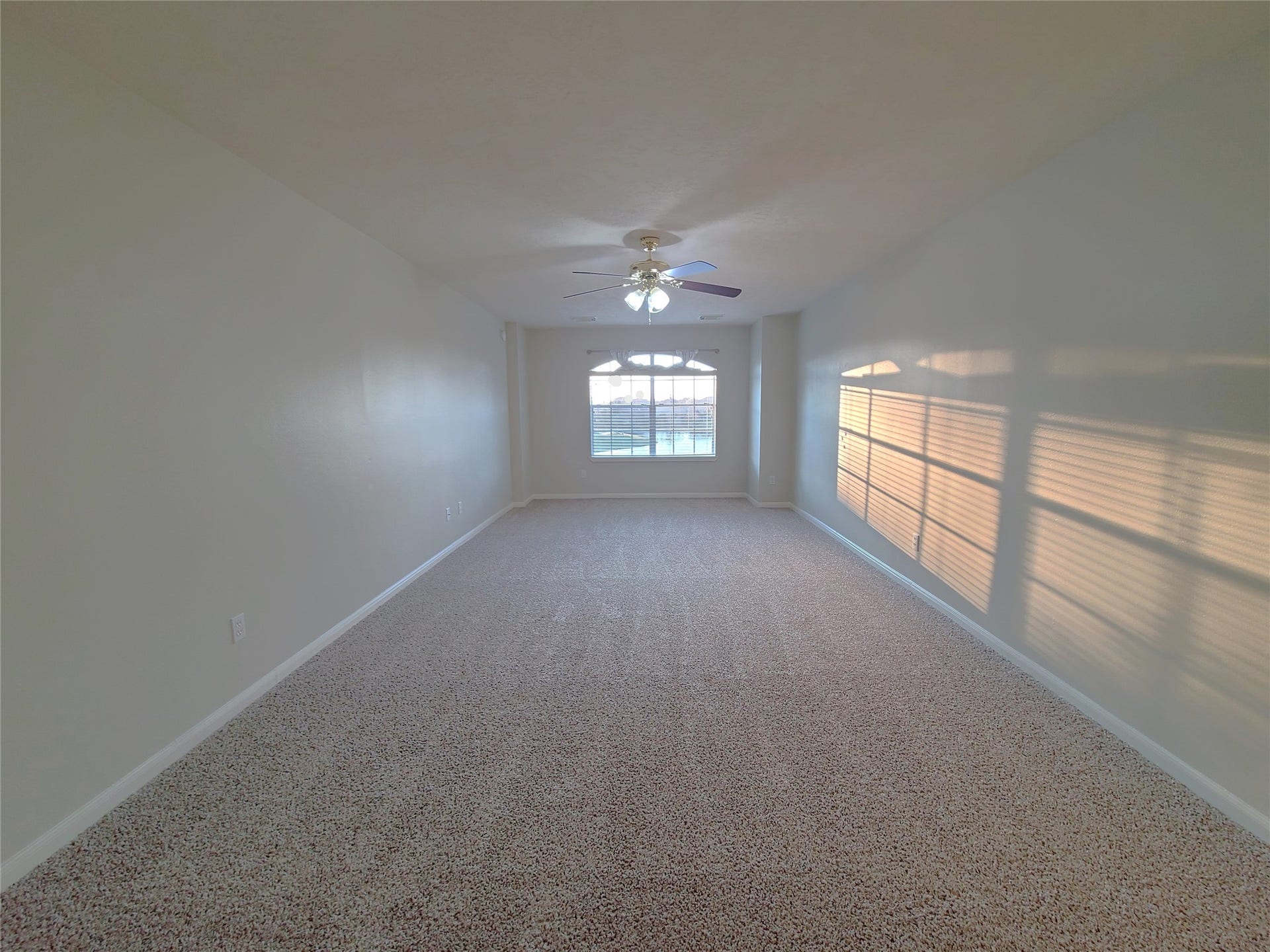 Entertainment/theater room