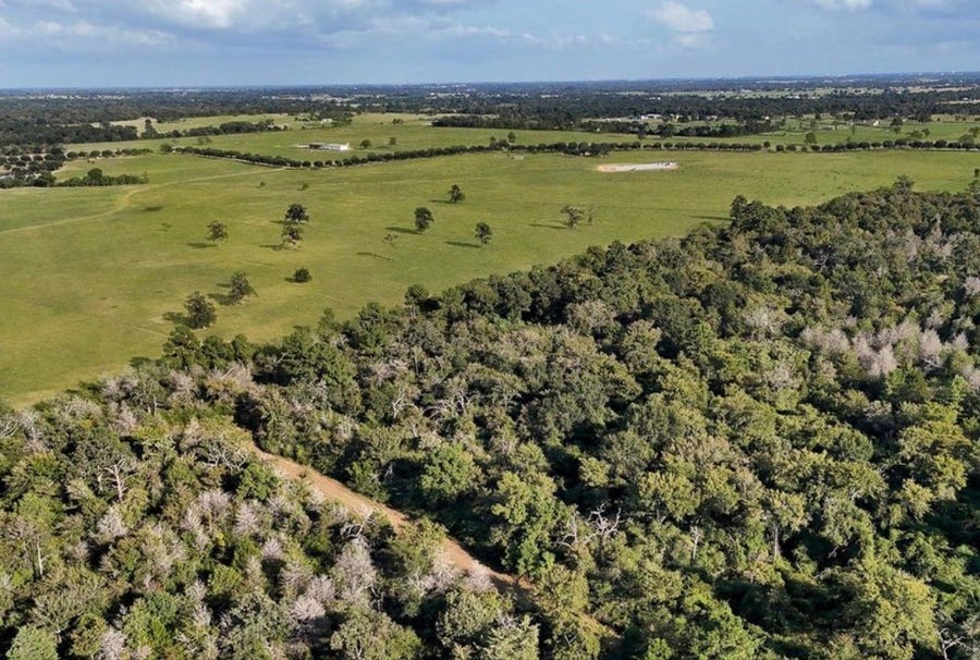 Property photo for 0 sandpiper, Waller, TX
