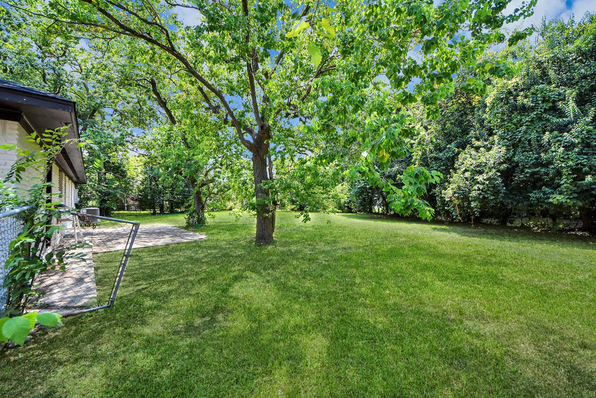 602 Gammon Drive, Houston, TX 77022 Expansive backyard with lush greenery and mature trees, perfect for relaxation and outdoor activities, adjacent to a charming patio area.