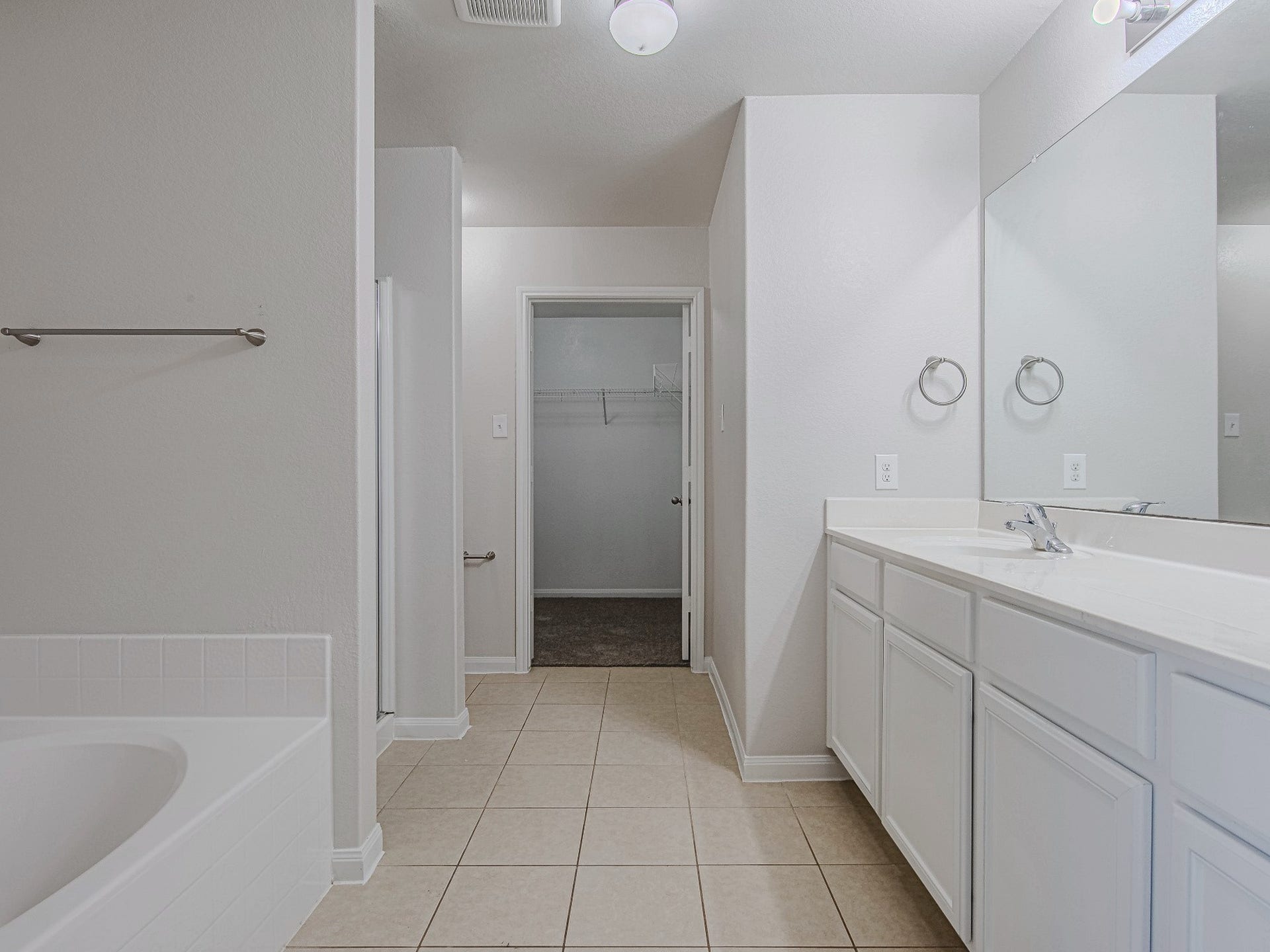 1223 Emerald Stone Drive, Rosharon, TX 77583 The primary bathroom features a long vanity with cabinet storage, tile flooring, and a separate tub and shower.