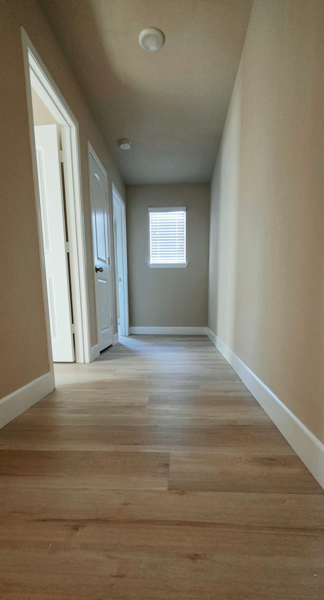 1402 Rodeo Cattle Lane, Houston, TX 77049 View of the hallway features brand new flooring and lots of natural light.