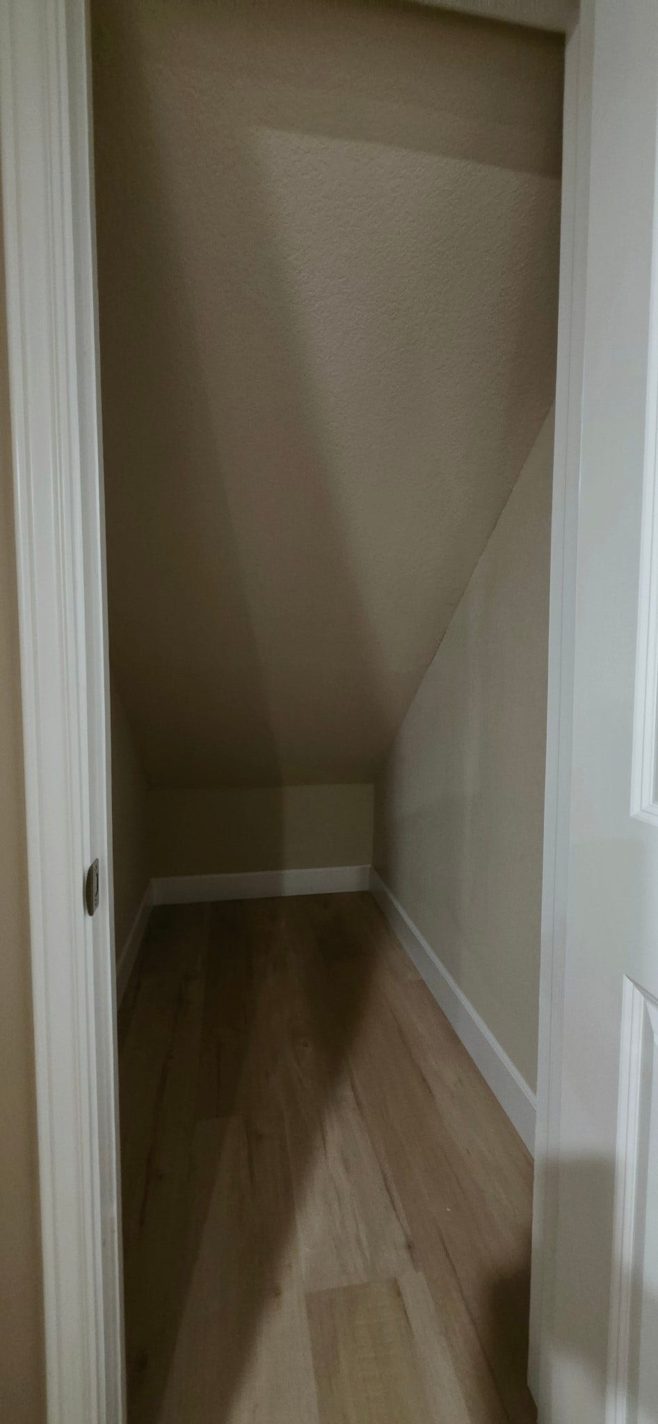 1402 Rodeo Cattle Lane, Houston, TX 77049 Under the stairs additional storage