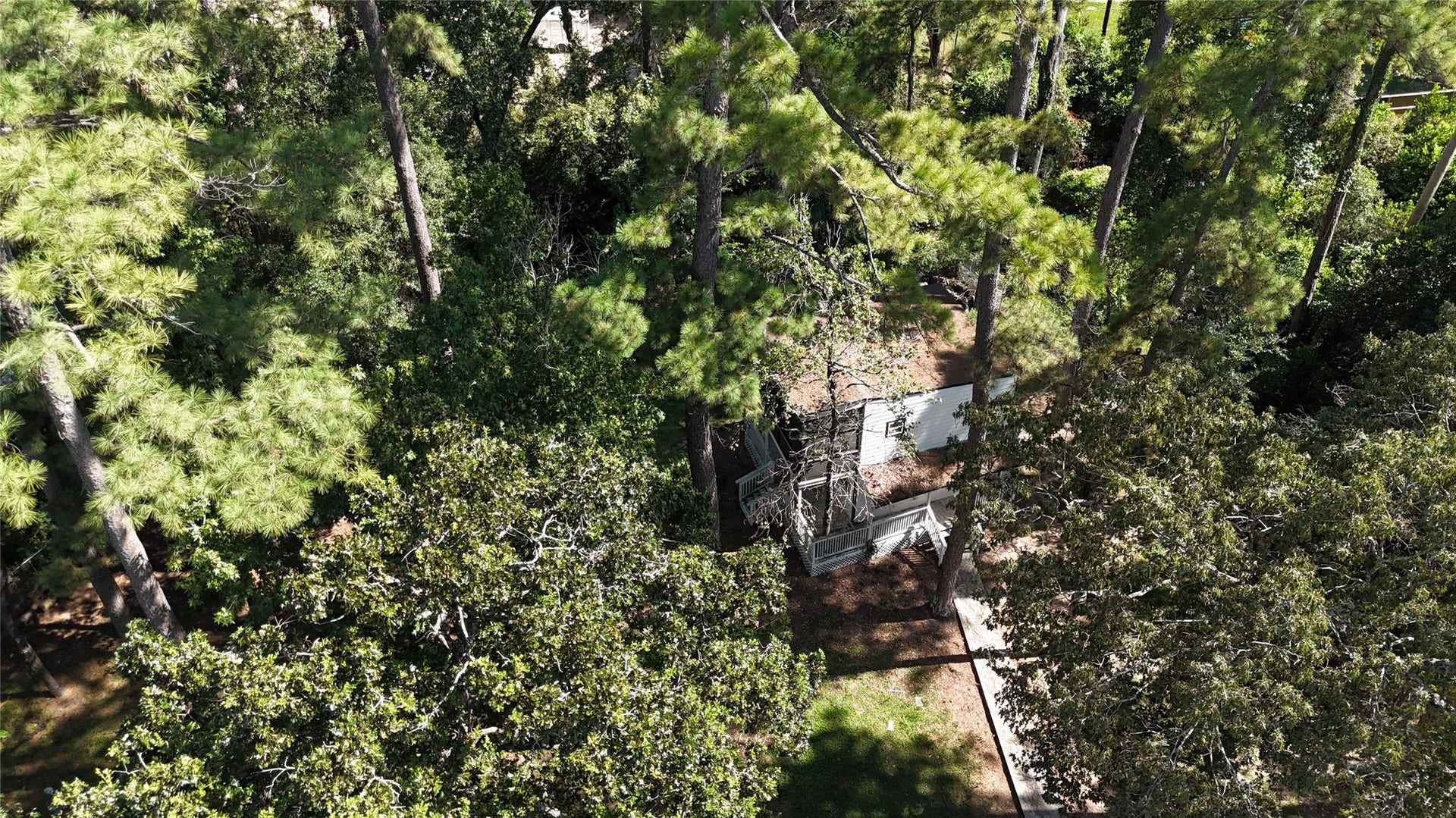 29702 E Hawthorne Drive, Spring, TX 77386 Aerial of Trees