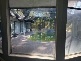 29702 E Hawthorne Drive, Spring, TX 77386 Indoor Pool