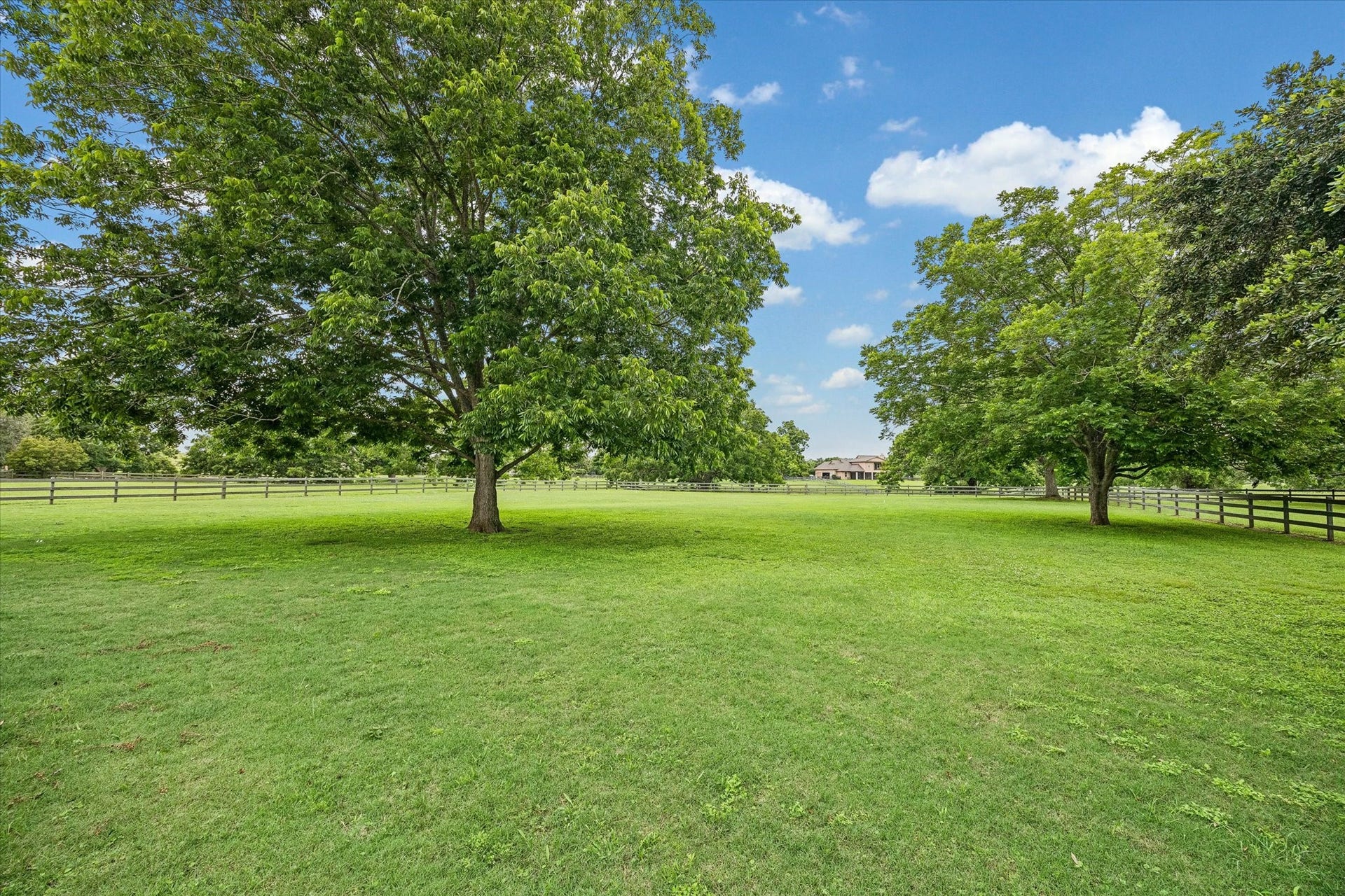 32102 Fulbrook Commons, Fulshear, TX 77441 Wide-open green space and majestic shade trees provide a picturesque backdrop, offering room to roam while enjoying the beauty of country living.