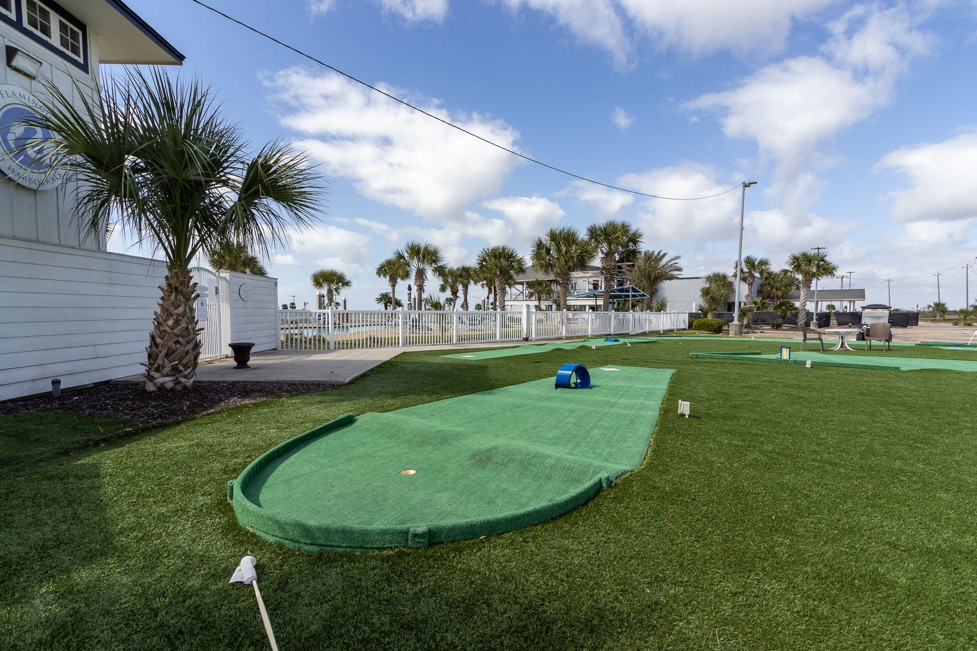 10 Sugarloaf, Hitchcock, TX 77563 Putting green