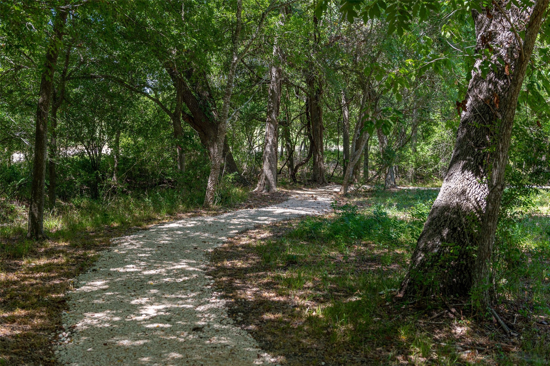 10213 Blanchard Court, Willis, TX 77318 More than 20 miles of hiking and biking trails, a community garden, and a dog park with designated areas for large and small dogs.