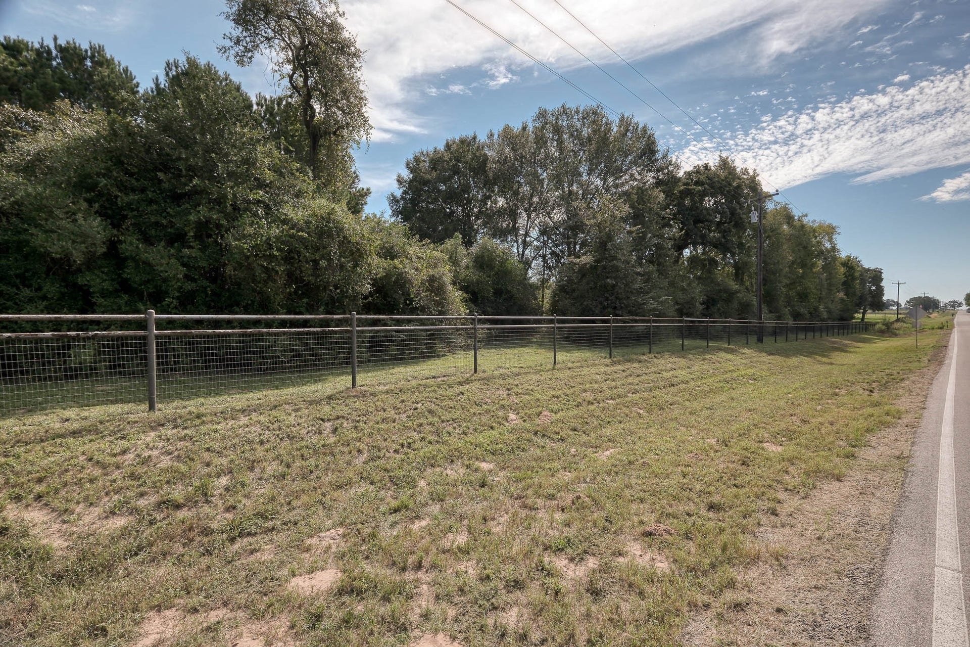 Excellent fencing