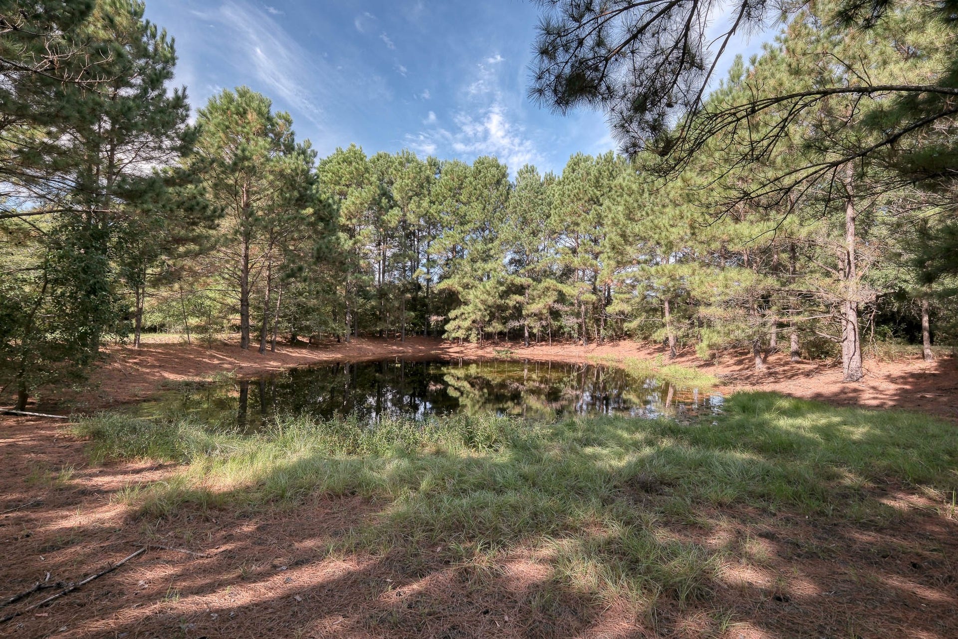 Pond