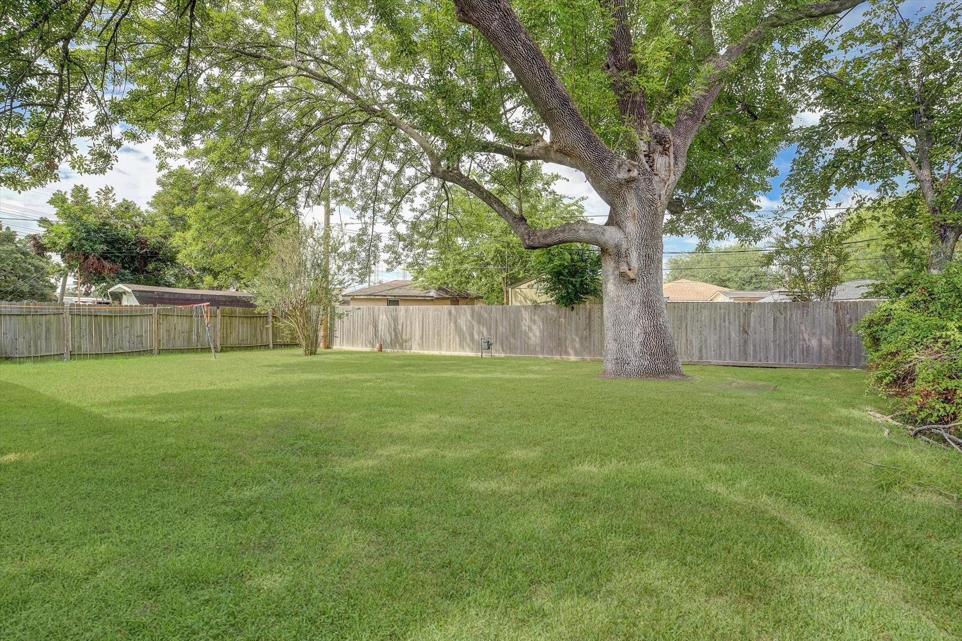 Expansive backyard with lush green grass and a majestic, mature tree, perfect for outdoor activities and relaxation.