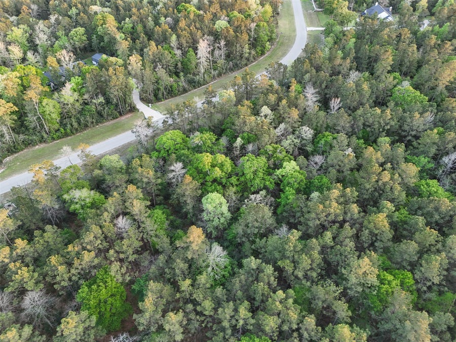 Property photo for 15537 Red Hawk Road, Willis, TX