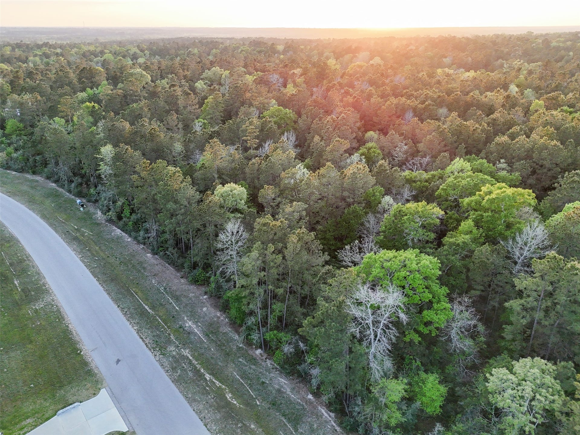 15537 Red Hawk Road, Willis, TX 77373 15537 Red Hawk Road, Willis, TX 77373