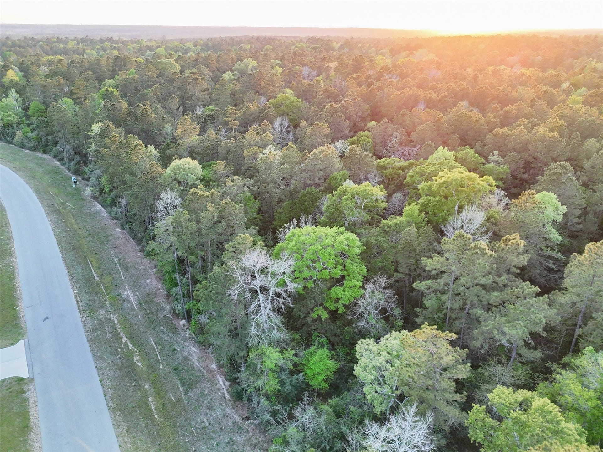 15537 Red Hawk Road, Willis, TX 77373 15537 Red Hawk Road, Willis, TX 77373
