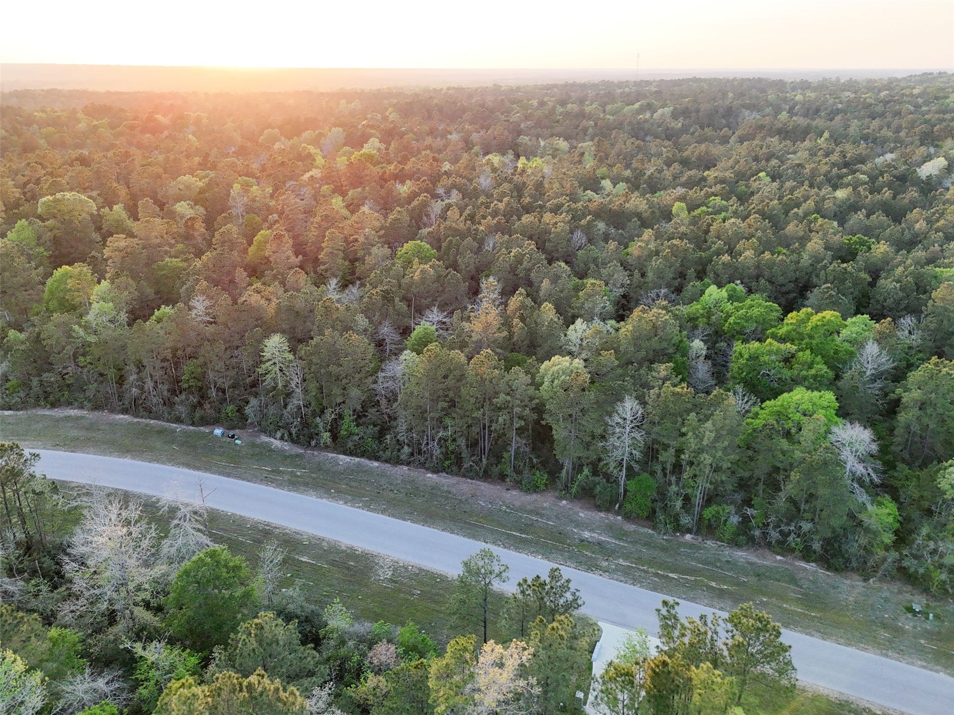 15537 Red Hawk Road, Willis, TX 77373 15537 Red Hawk Road, Willis, TX 77373