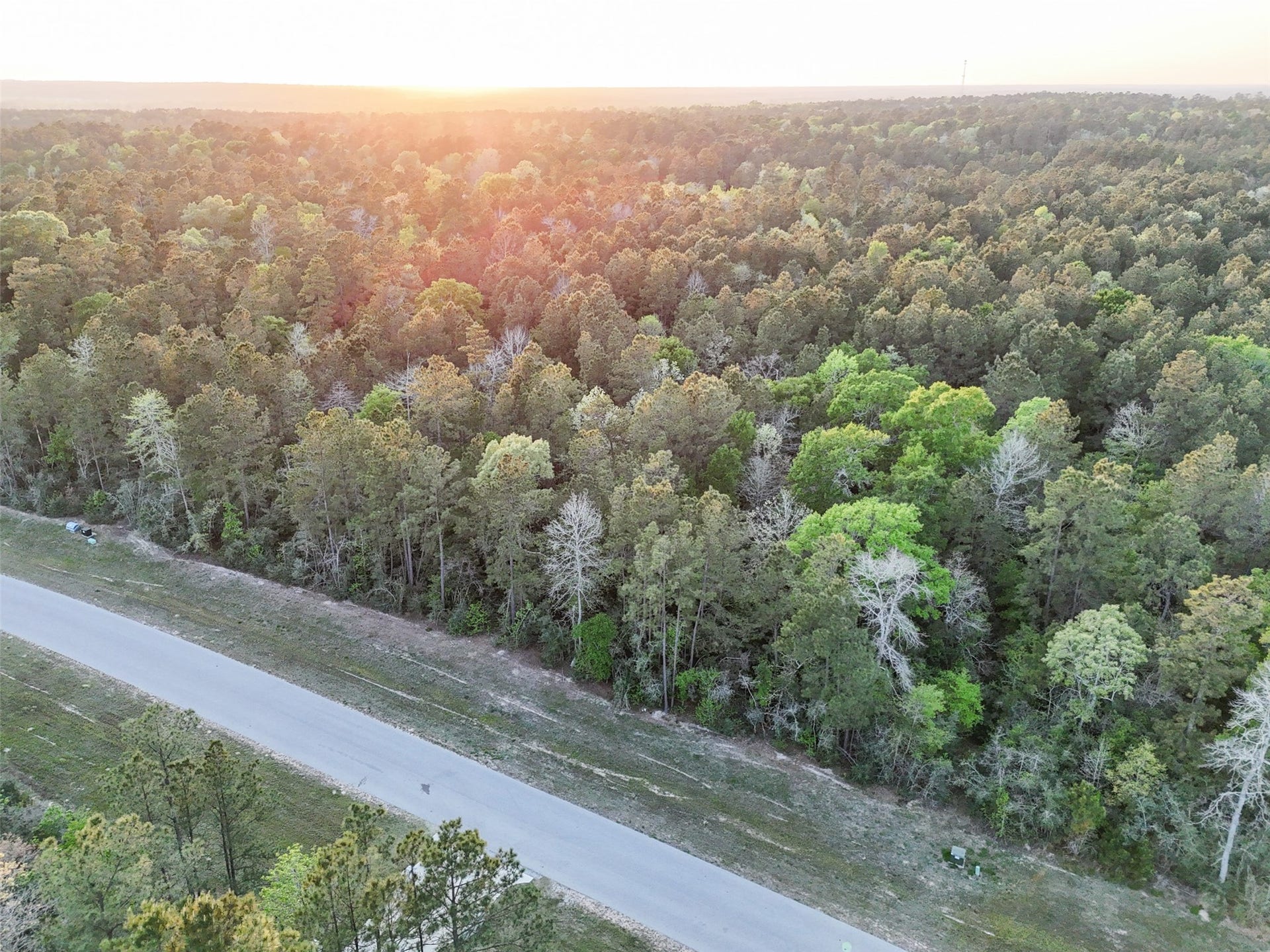 15537 Red Hawk Road, Willis, TX 77373 15537 Red Hawk Road, Willis, TX 77373