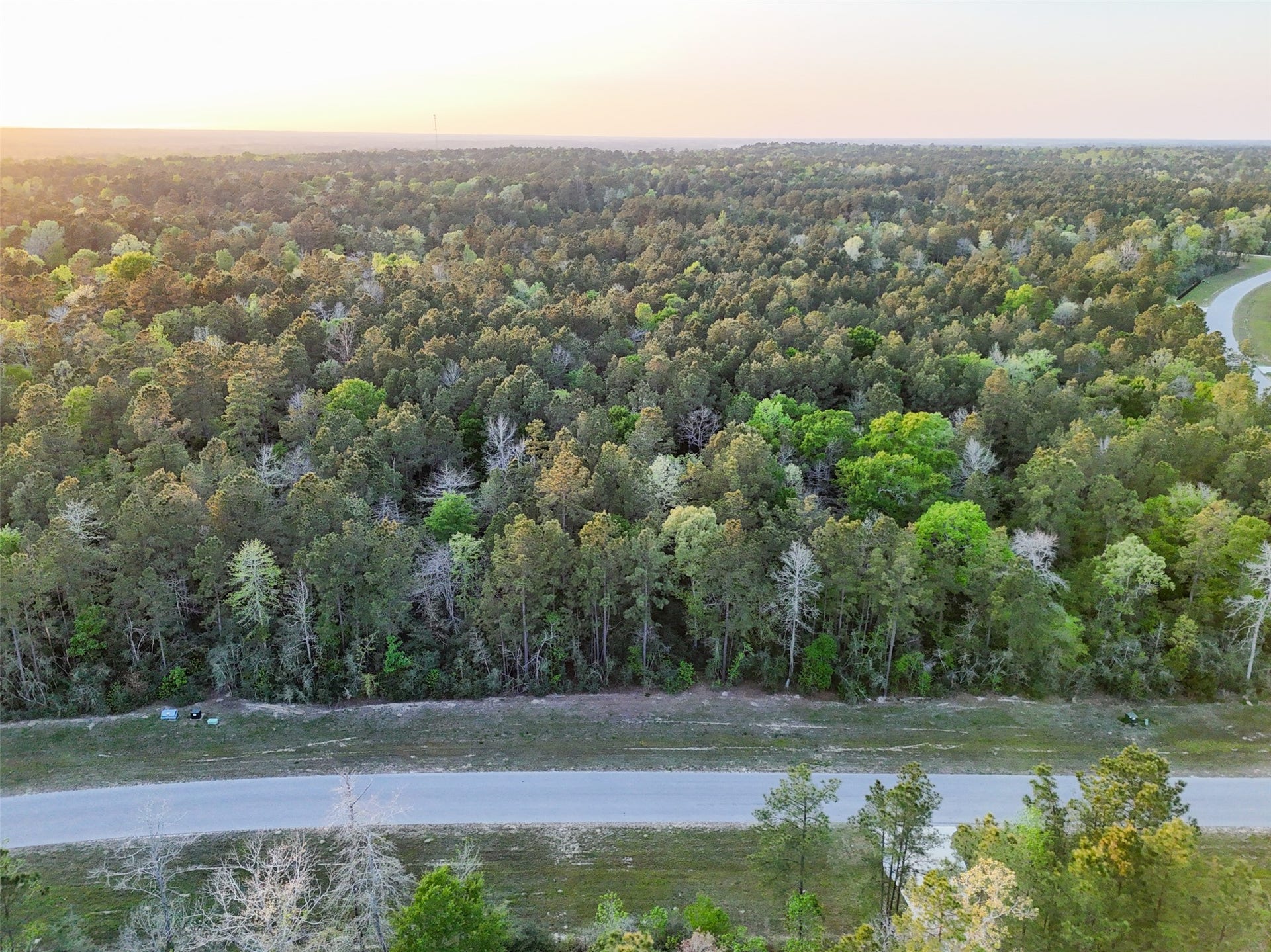 15537 Red Hawk Road, Willis, TX 77373 15537 Red Hawk Road, Willis, TX 77373