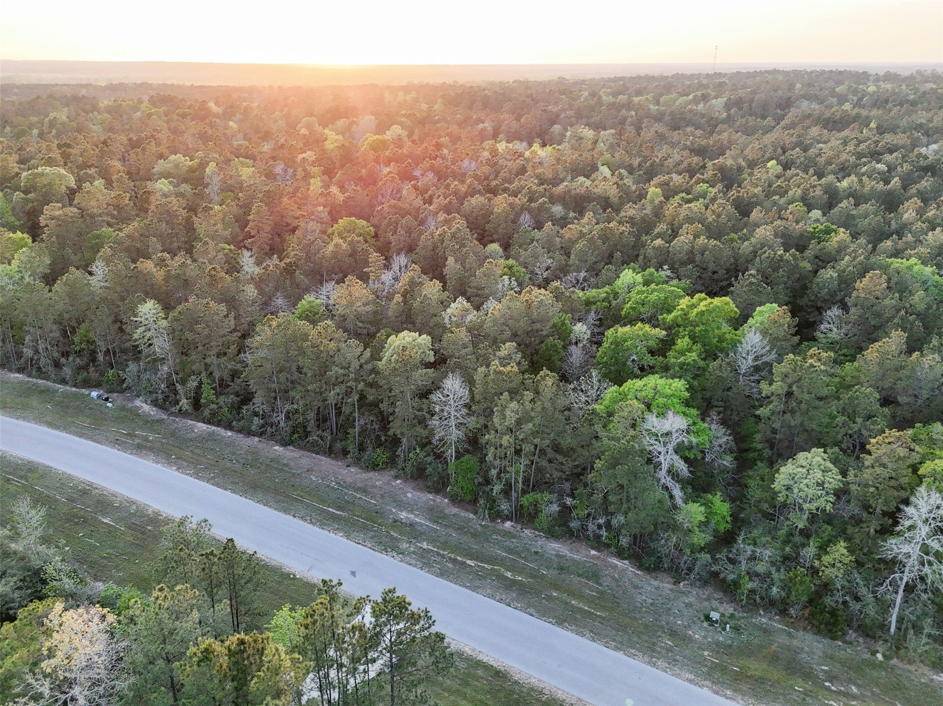 15537 Red Hawk Road, Willis, TX 77373 15537 Red Hawk Road, Willis, TX 77373