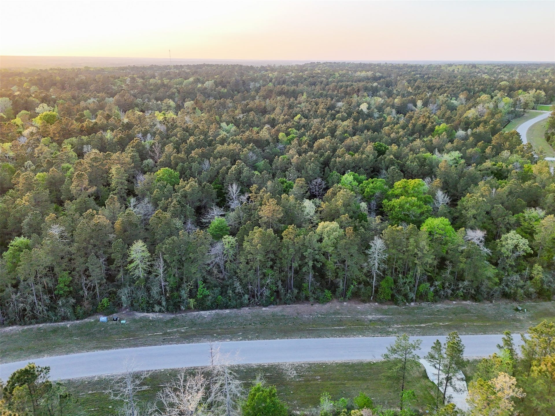 15537 Red Hawk Road, Willis, TX 77373 15537 Red Hawk Road, Willis, TX 77373