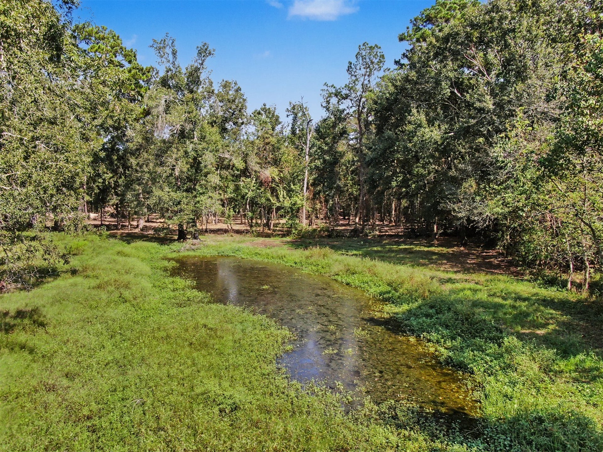 13285 Stowe Road, Conroe, TX 77306 13285 Stowe Road, Conroe, TX 77306