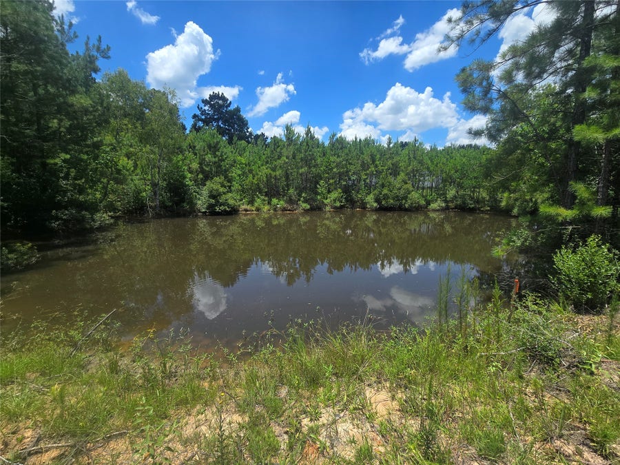 Property photo for 26131 Crown Ranch Boulevard, Montgomery, TX